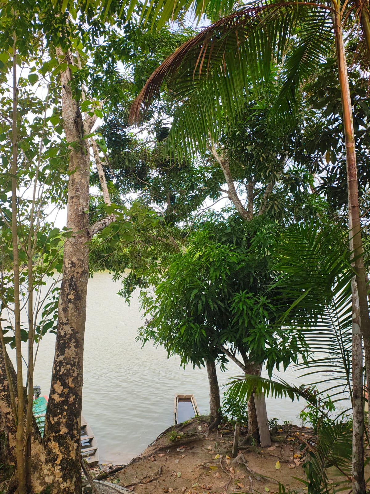 Natureza local
